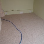 Carpets all finished