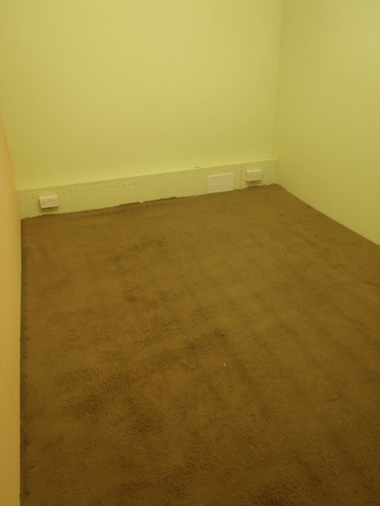 Shauns room carpet down