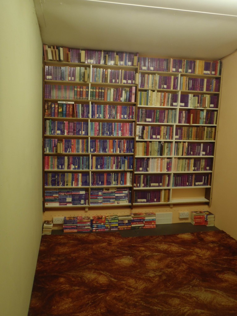 Daphne's bookcases (full!)