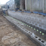 First Row of Front Wall Completed