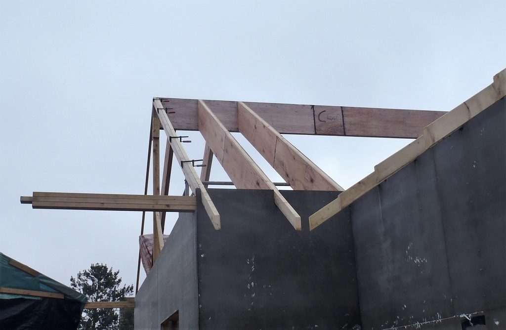 First-3-D-Rafters-installed