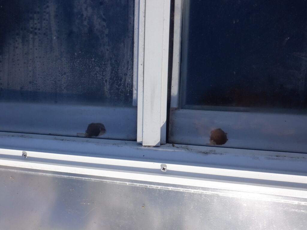 Holes through the ridge beam into skylight box